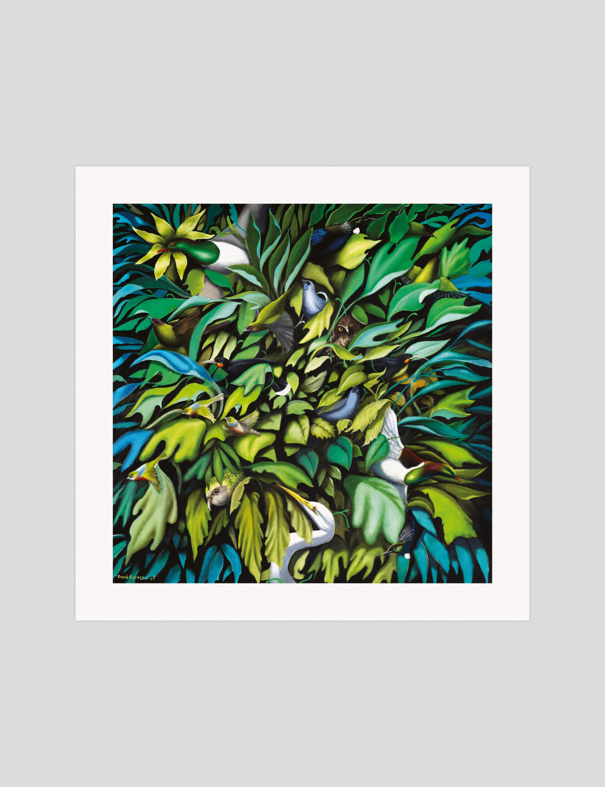 Frank Gordon Flights and Foliage gallery quality art print produced using 100% cotton rag textured art paper and pigment based archival inks in New Zealand.