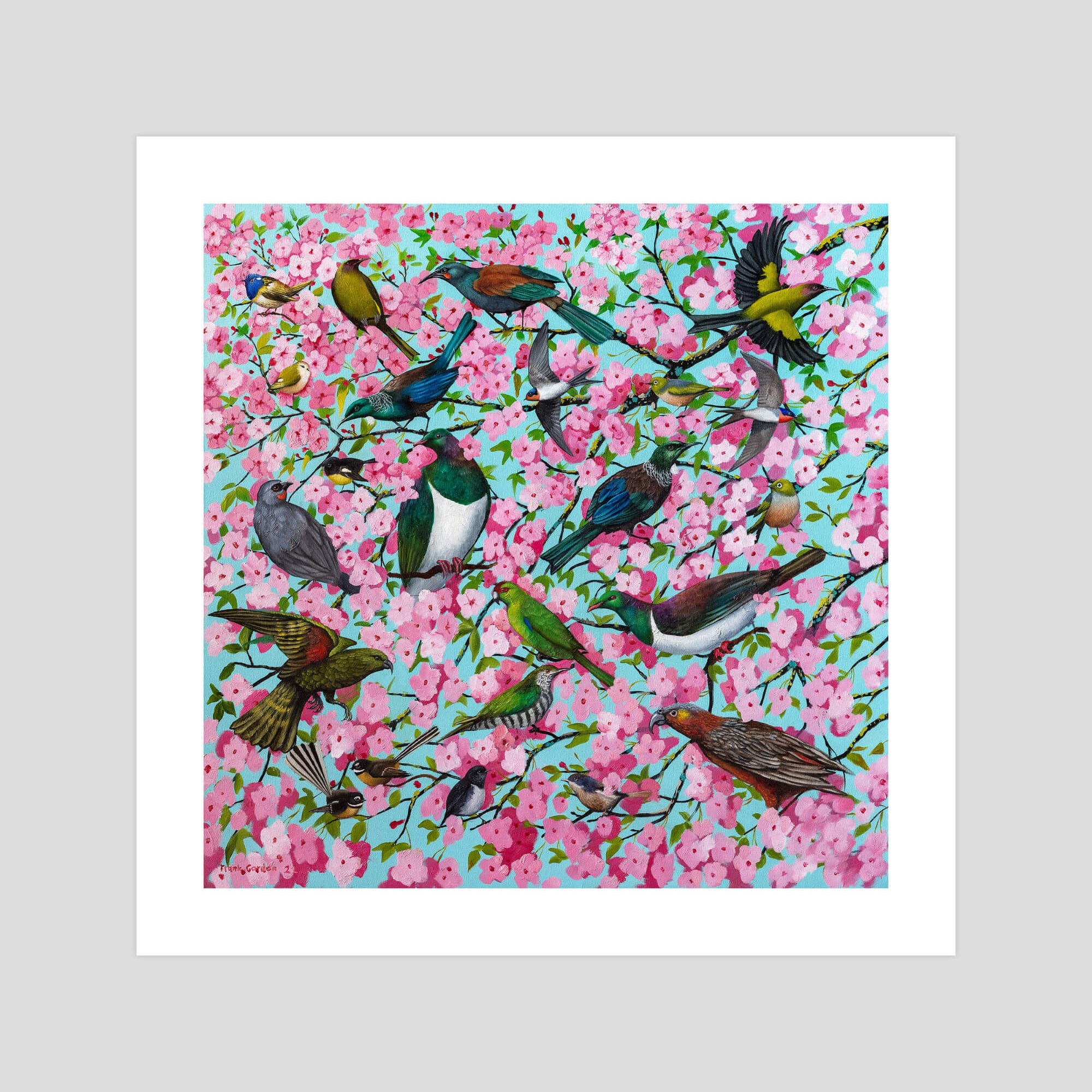 Frank Gordon Sakura gallery quality art print produced using 100% cotton rag textured art paper and pigment based archival inks in New Zealand.