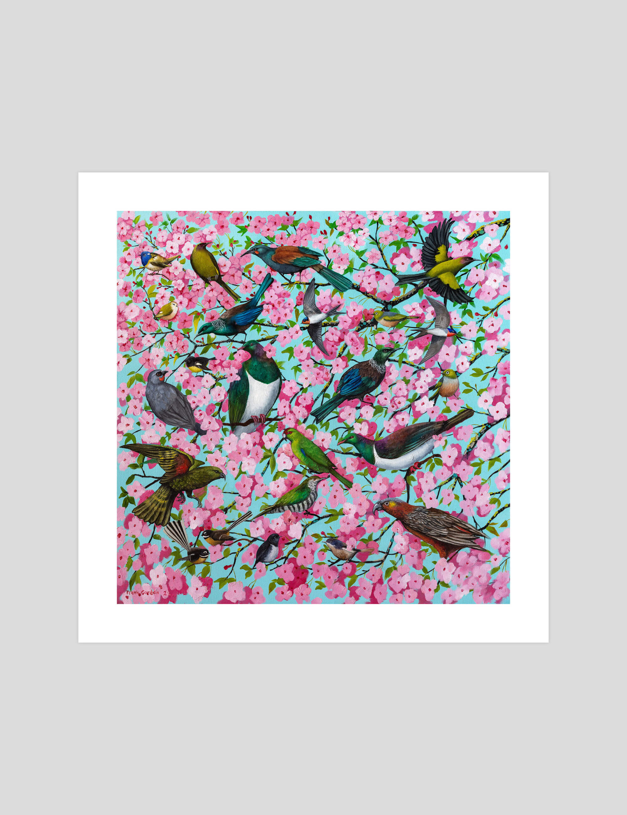 Frank Gordon Sakura gallery quality art print produced using 100% cotton rag textured art paper and pigment based archival inks in New Zealand.