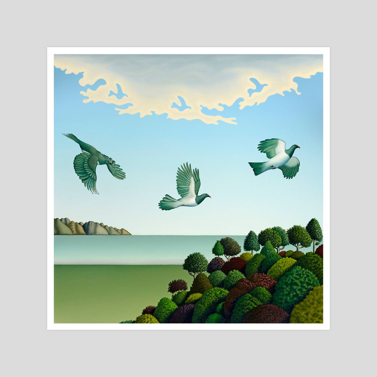 Hamish Allan Swoop gallery quality art print produced using 100% cotton rag textured art paper and pigment based archival inks in New Zealand.