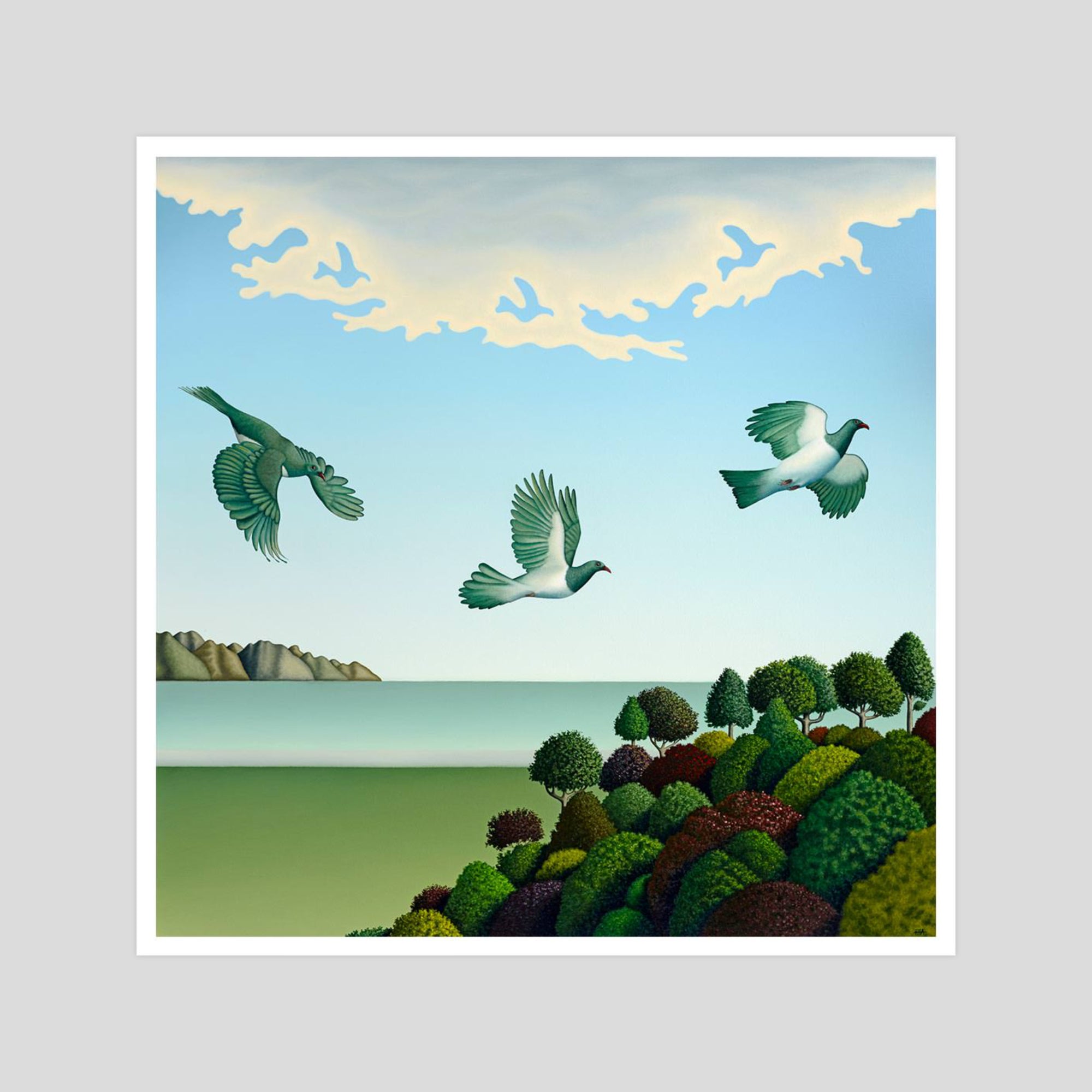 Hamish Allan Swoop gallery quality art print produced using 100% cotton rag textured art paper and pigment based archival inks in New Zealand.