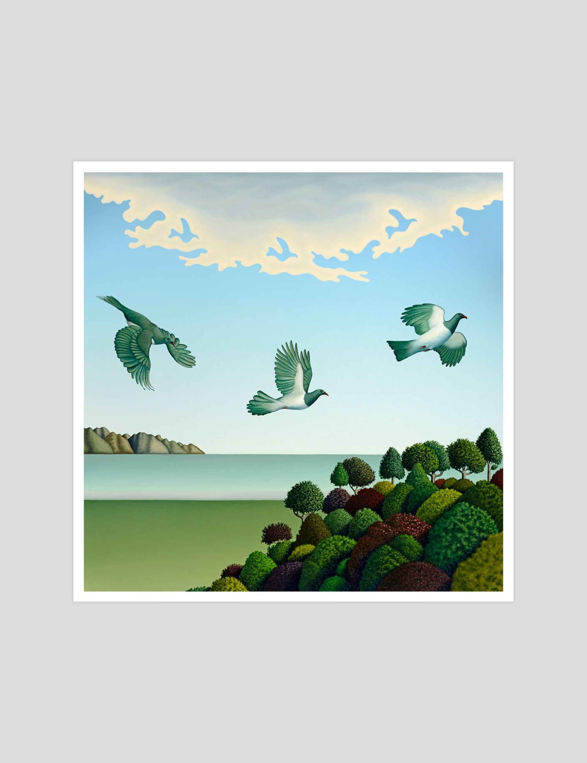 Hamish Allan Swoop gallery quality art print produced using 100% cotton rag textured art paper and pigment based archival inks in New Zealand.