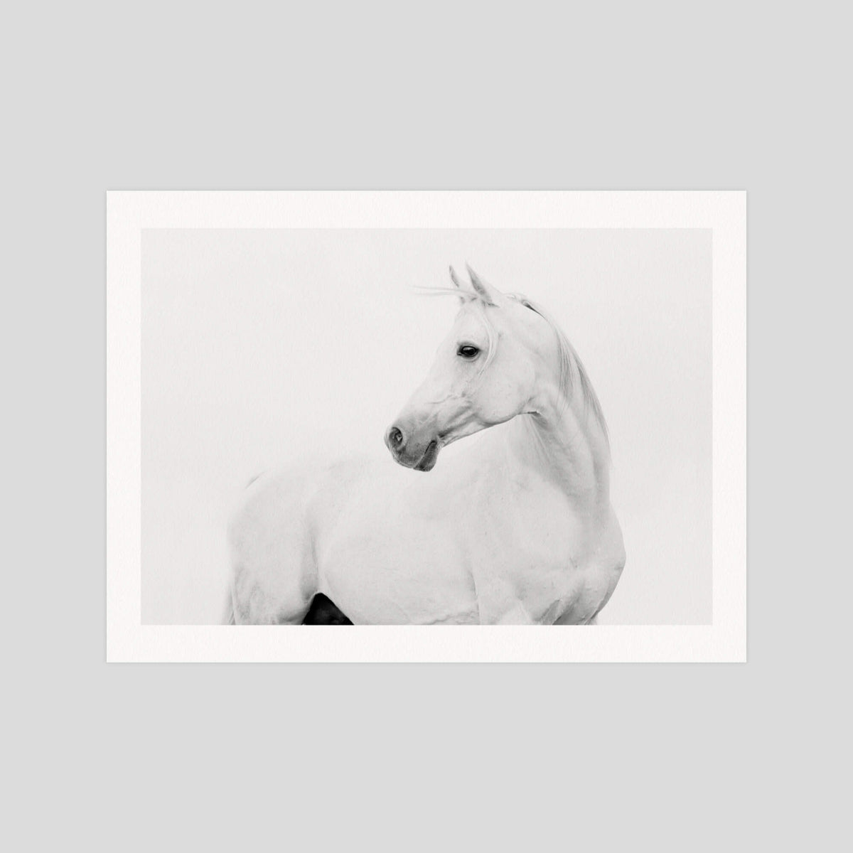 Horse Lover gallery quality art print produced using 100% cotton rag textured art paper and pigment based archival inks in New Zealand.