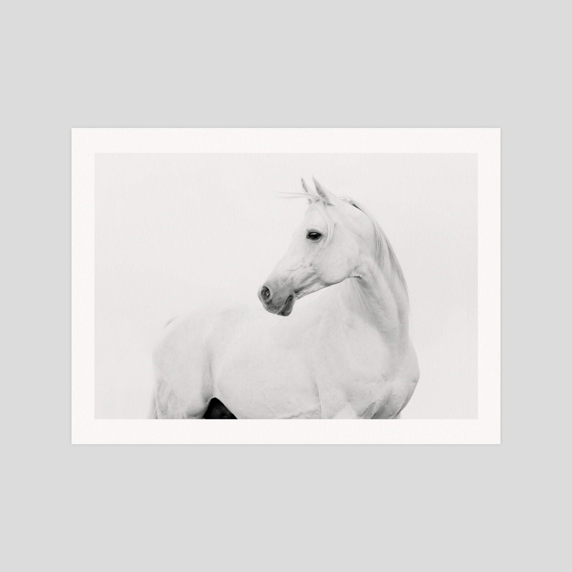 Horse Lover gallery quality art print produced using 100% cotton rag textured art paper and pigment based archival inks in New Zealand.