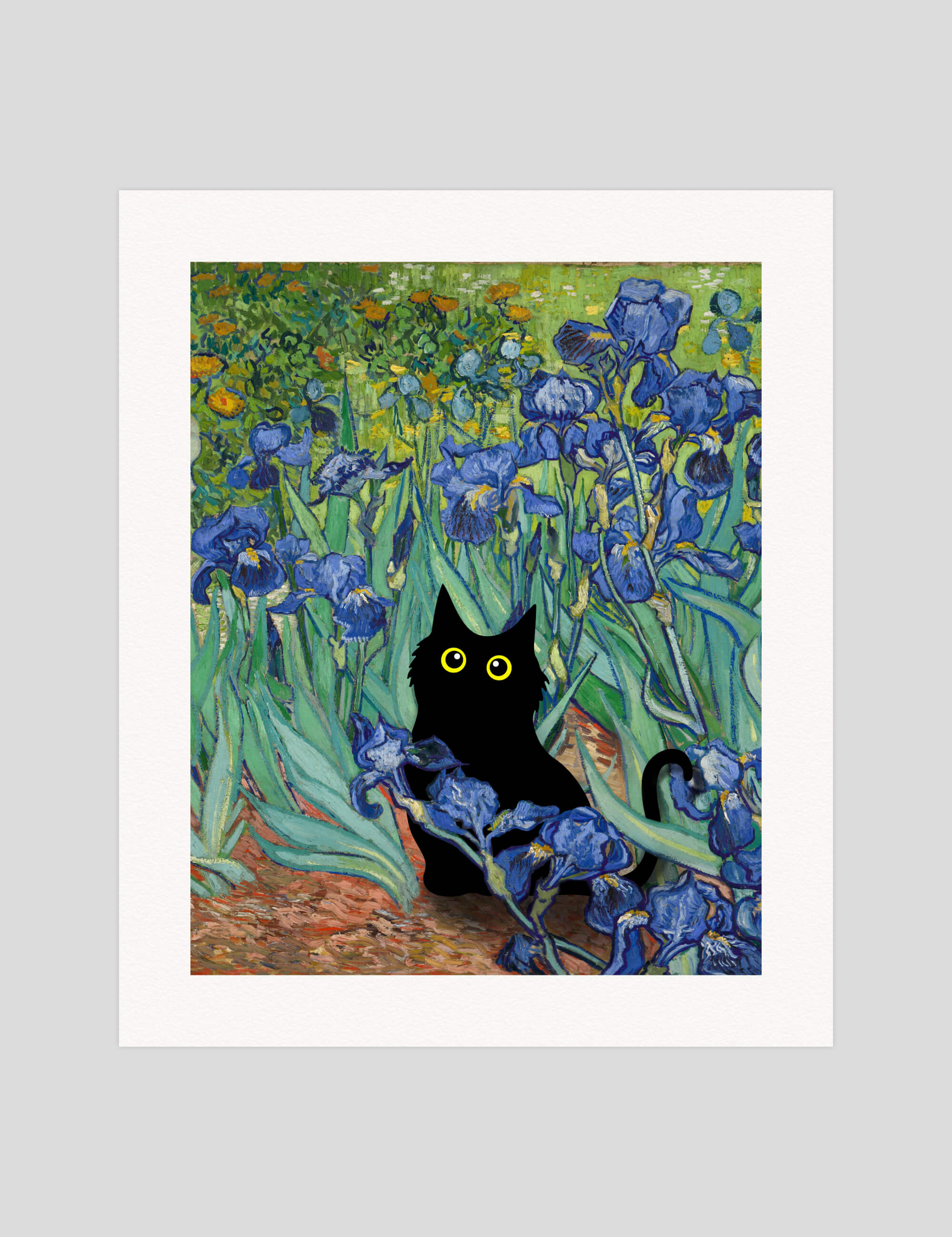 Irises Little Black Cat gallery quality art print produced using 100% cotton rag textured art paper and pigment based archival inks in New Zealand.