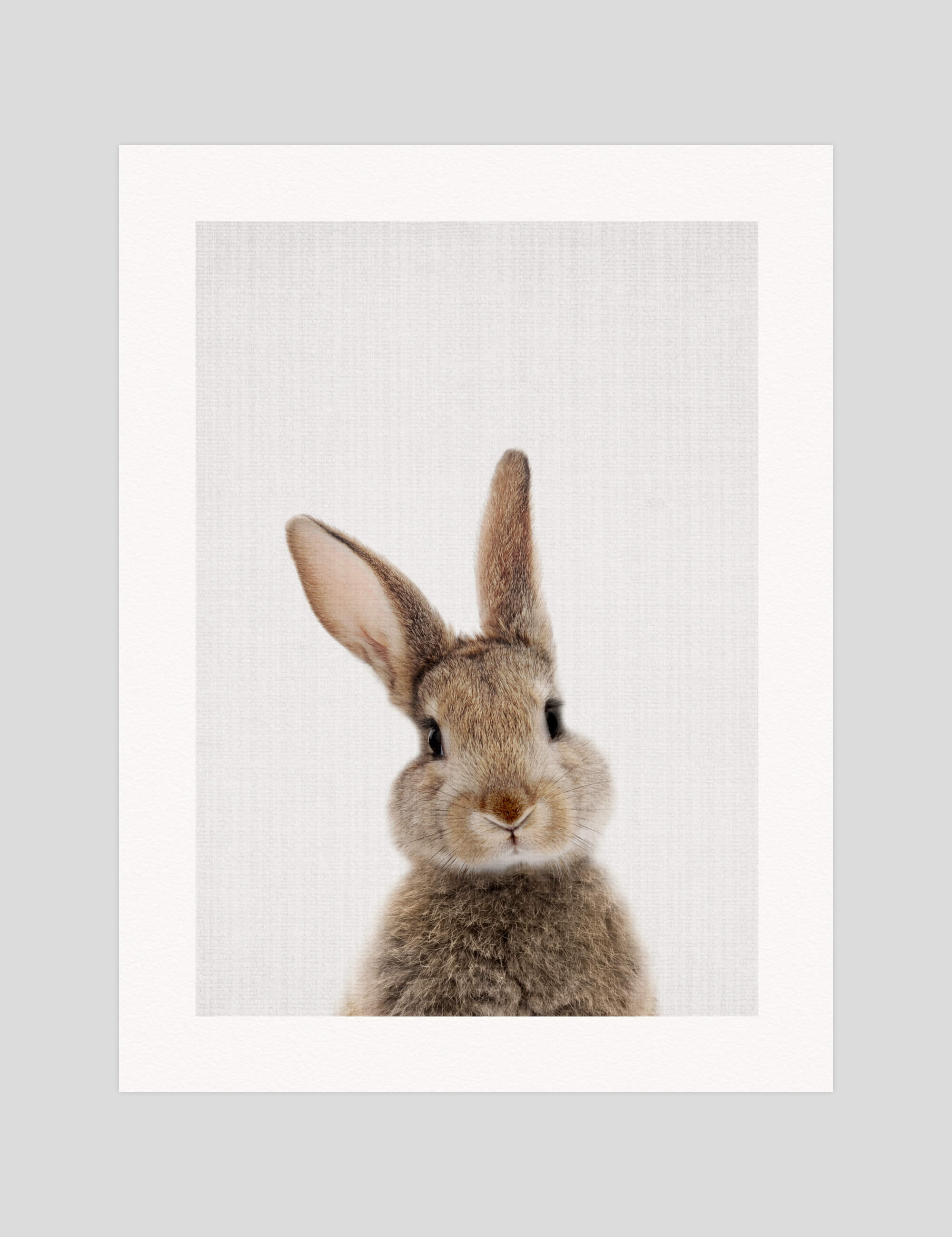 Lila & Lola Woodland Bunny Rabbit gallery quality art print produced using 100% cotton rag textured art paper and pigment based archival inks in New Zealand.