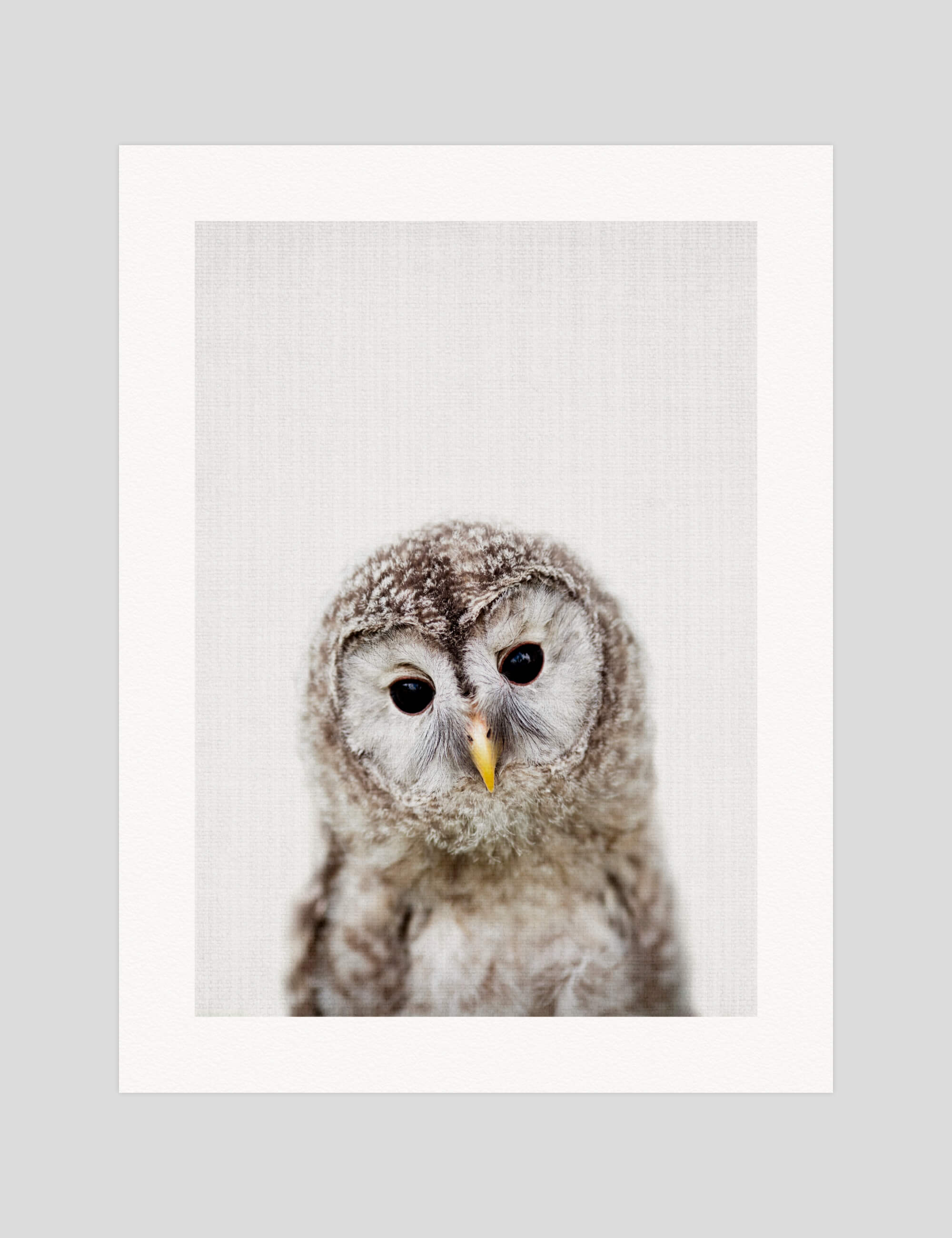 Lila & Lola Woodland Owl gallery quality art print produced using 100% cotton rag textured art paper and pigment based archival inks in New Zealand.
