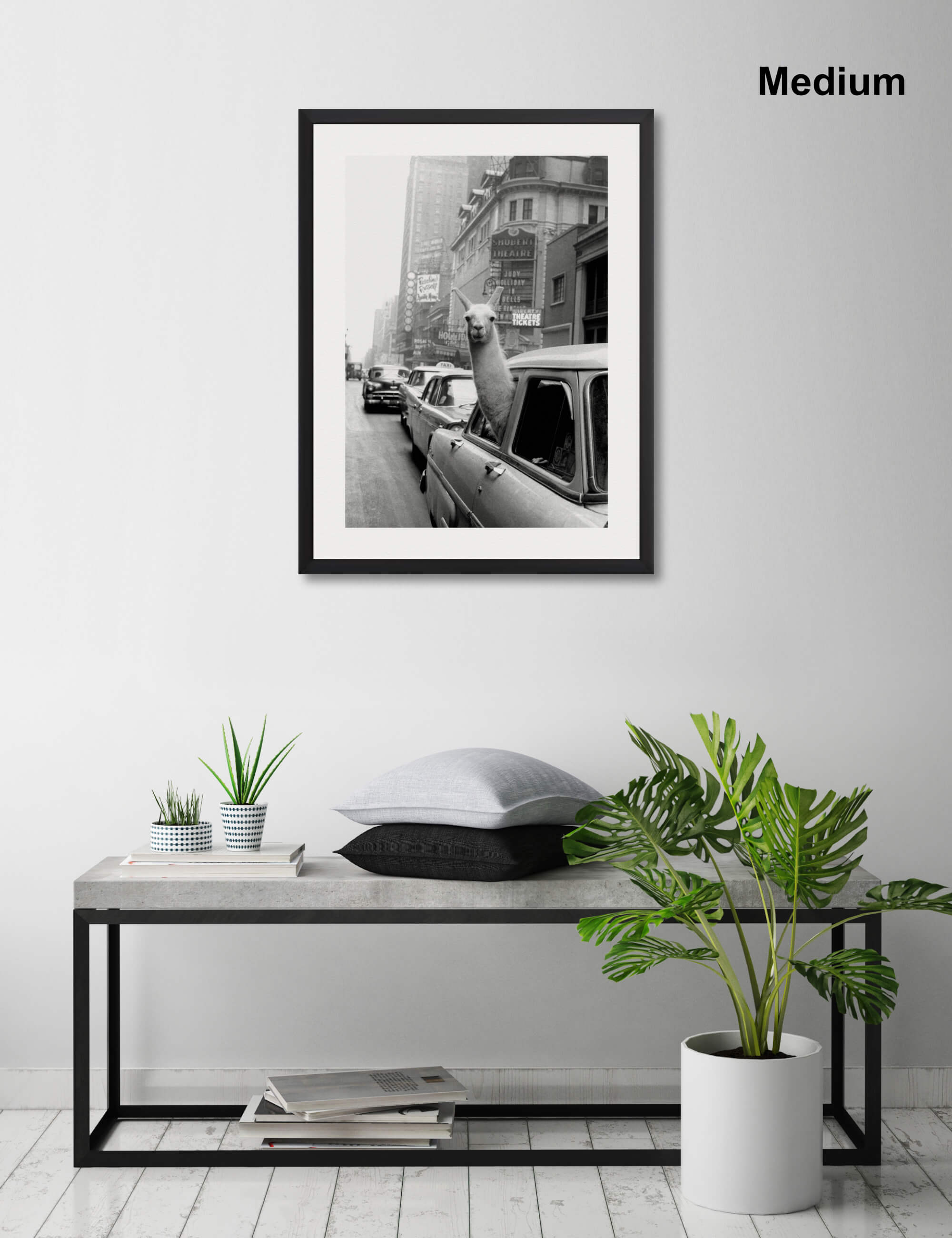 A Llama in Times Square Wall Art for Living Room