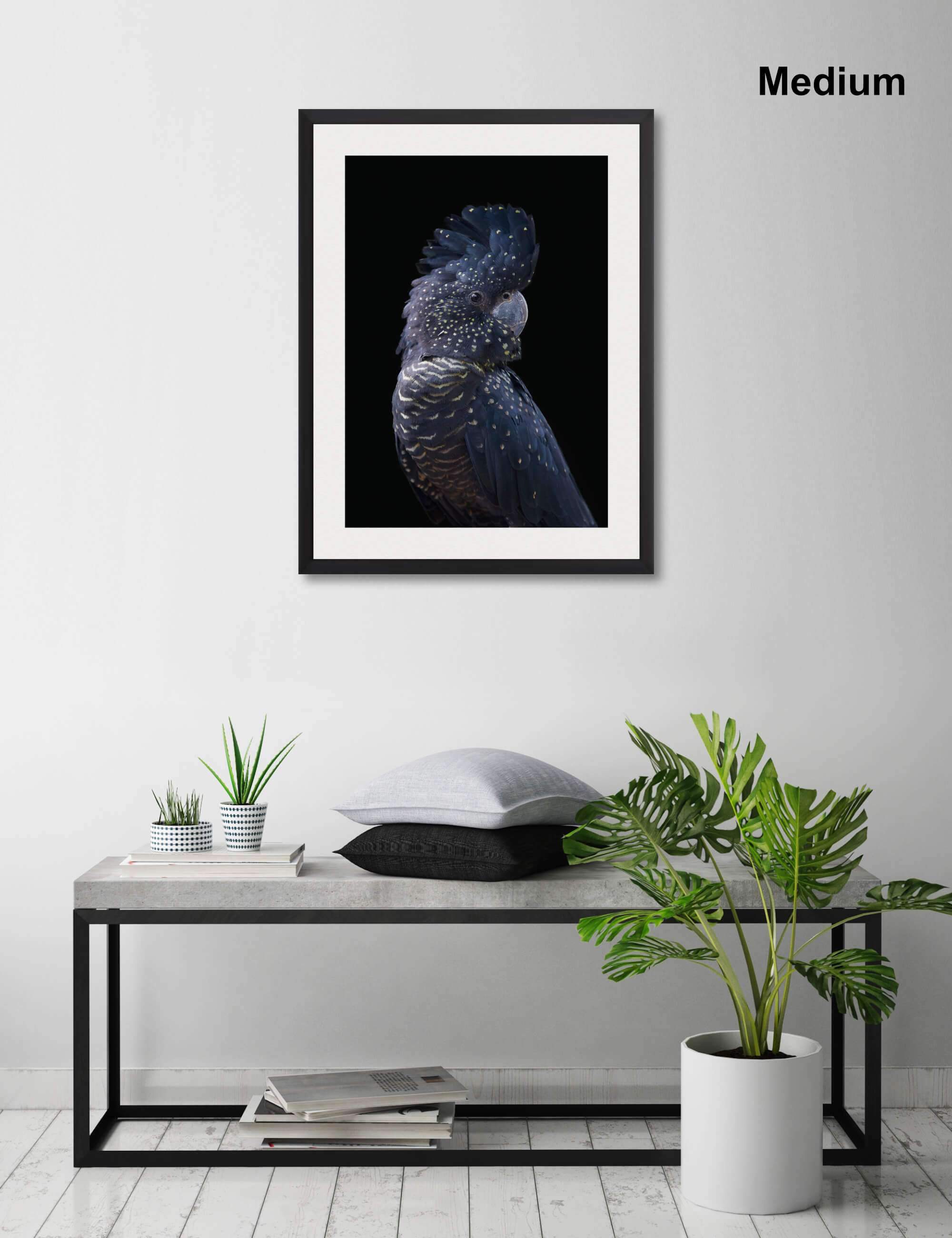 Blue Cockatoo Wall Art for Living Room
