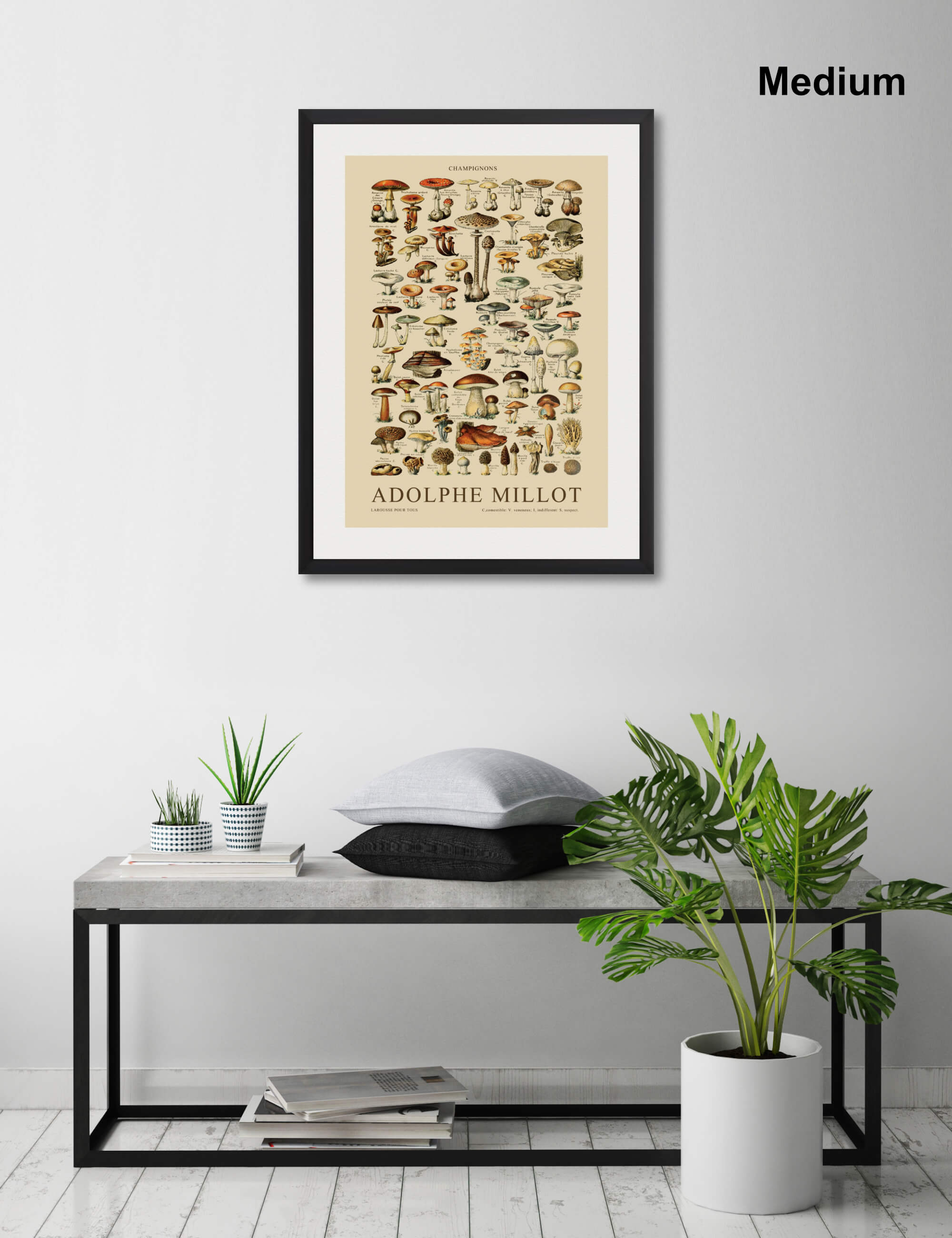 Champignons by Adolphe Millot Wall Art for Living Room