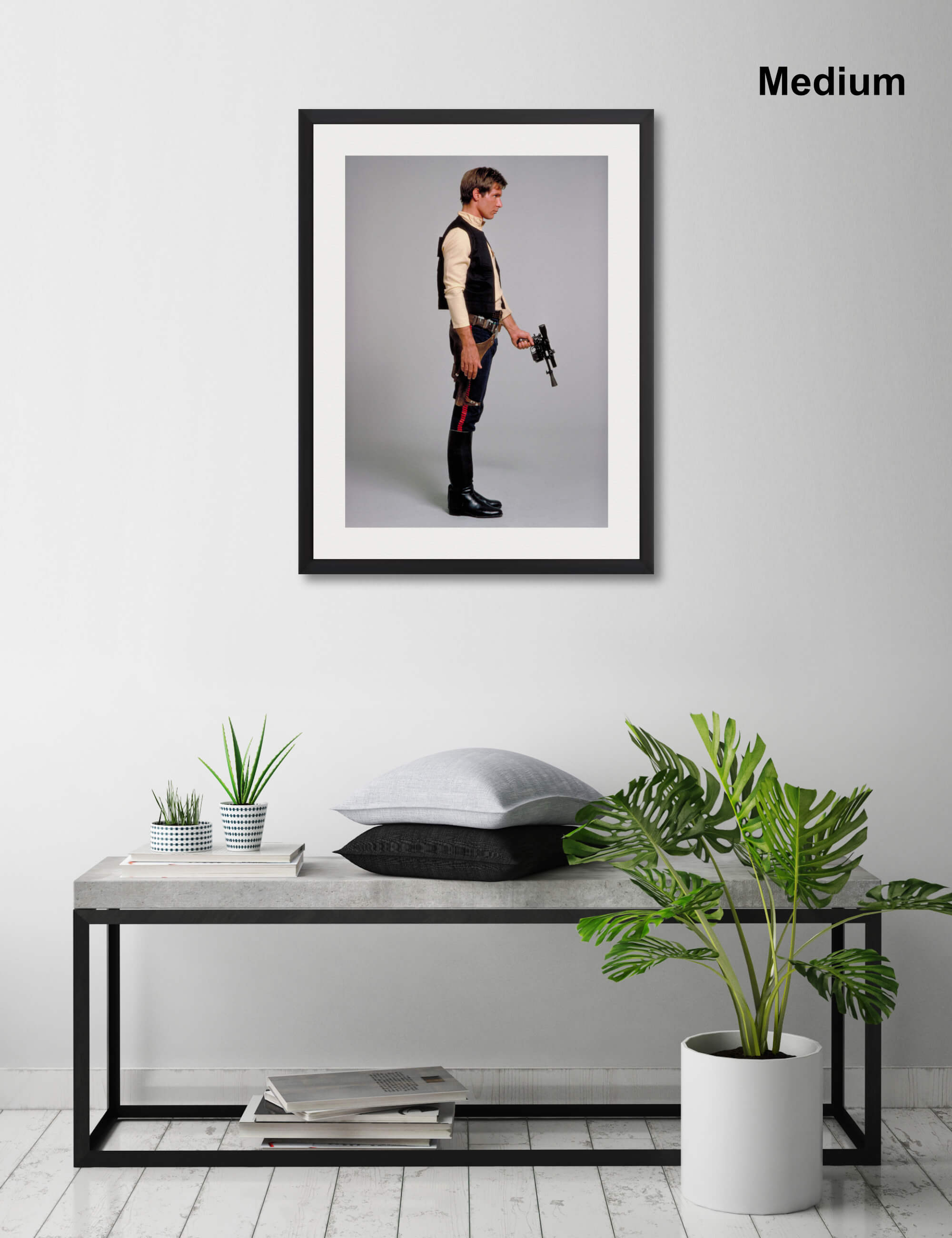 Han Solo Wall Art for Living Room