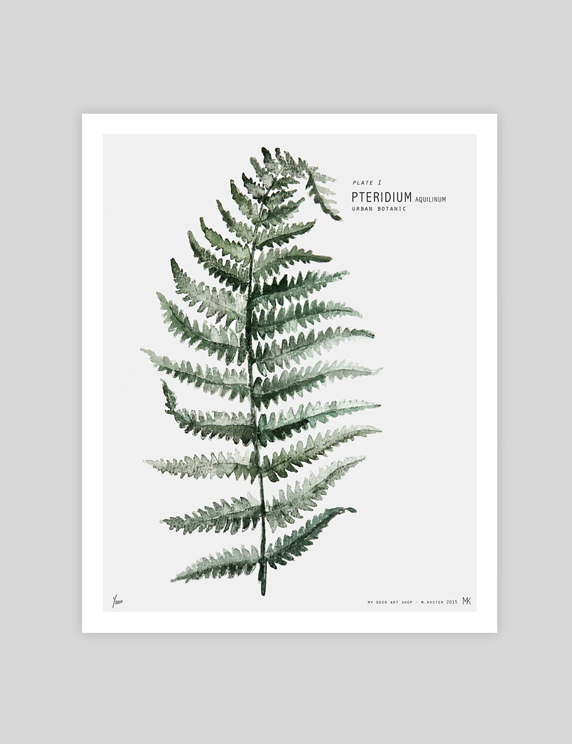 My Deer Fern gallery quality art print produced using 100% cotton rag textured art paper and pigment based archival inks in New Zealand.