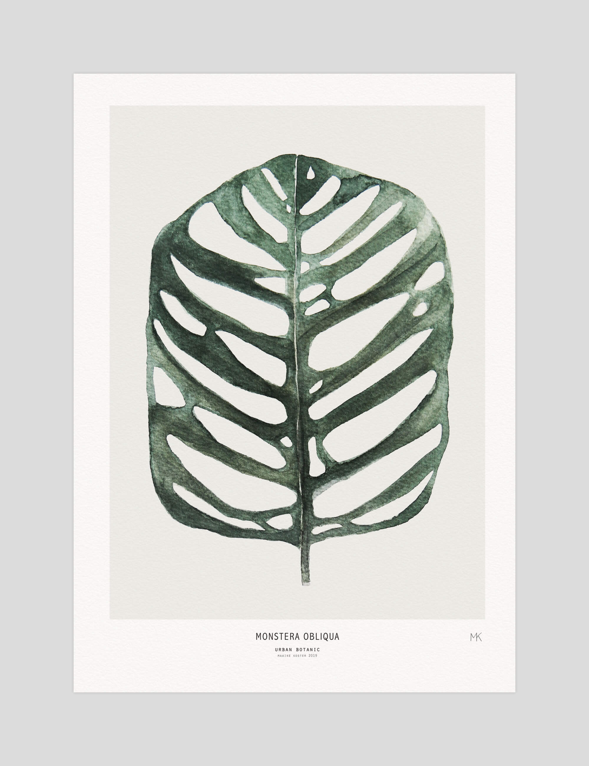 My Deer Monstera Obliqua gallery quality art print produced using 100% cotton rag textured art paper and pigment based archival inks in New Zealand.