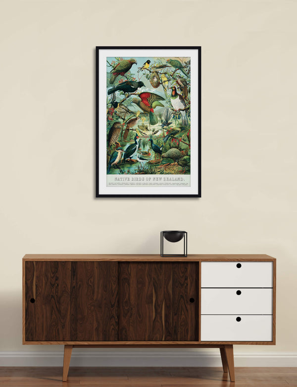 Native Birds of New Zealand Art Print | Pop Motif