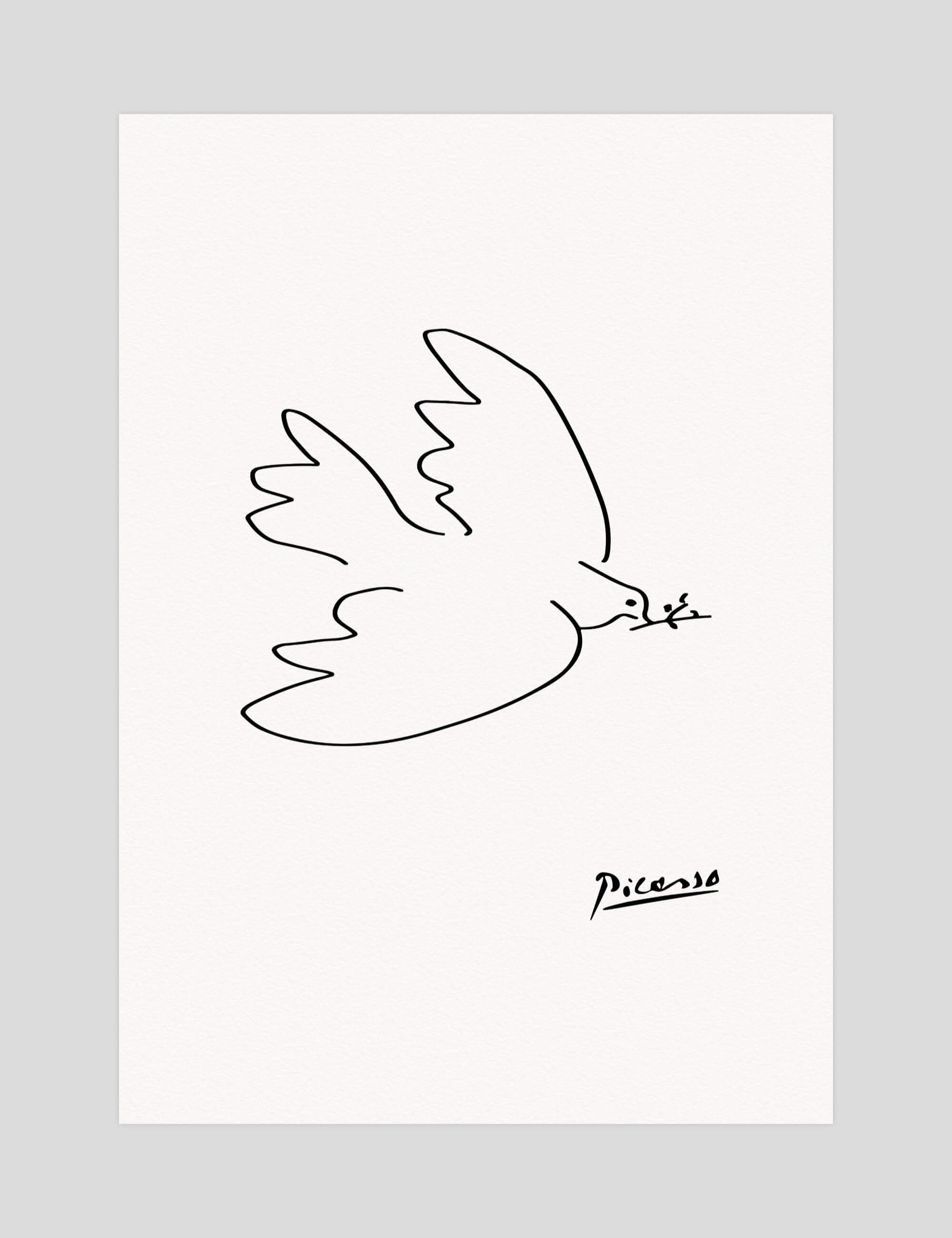 Pablo Picasso Dove of Peace gallery quality art print produced using 100% cotton rag textured art paper and pigment based archival inks in New Zealand.