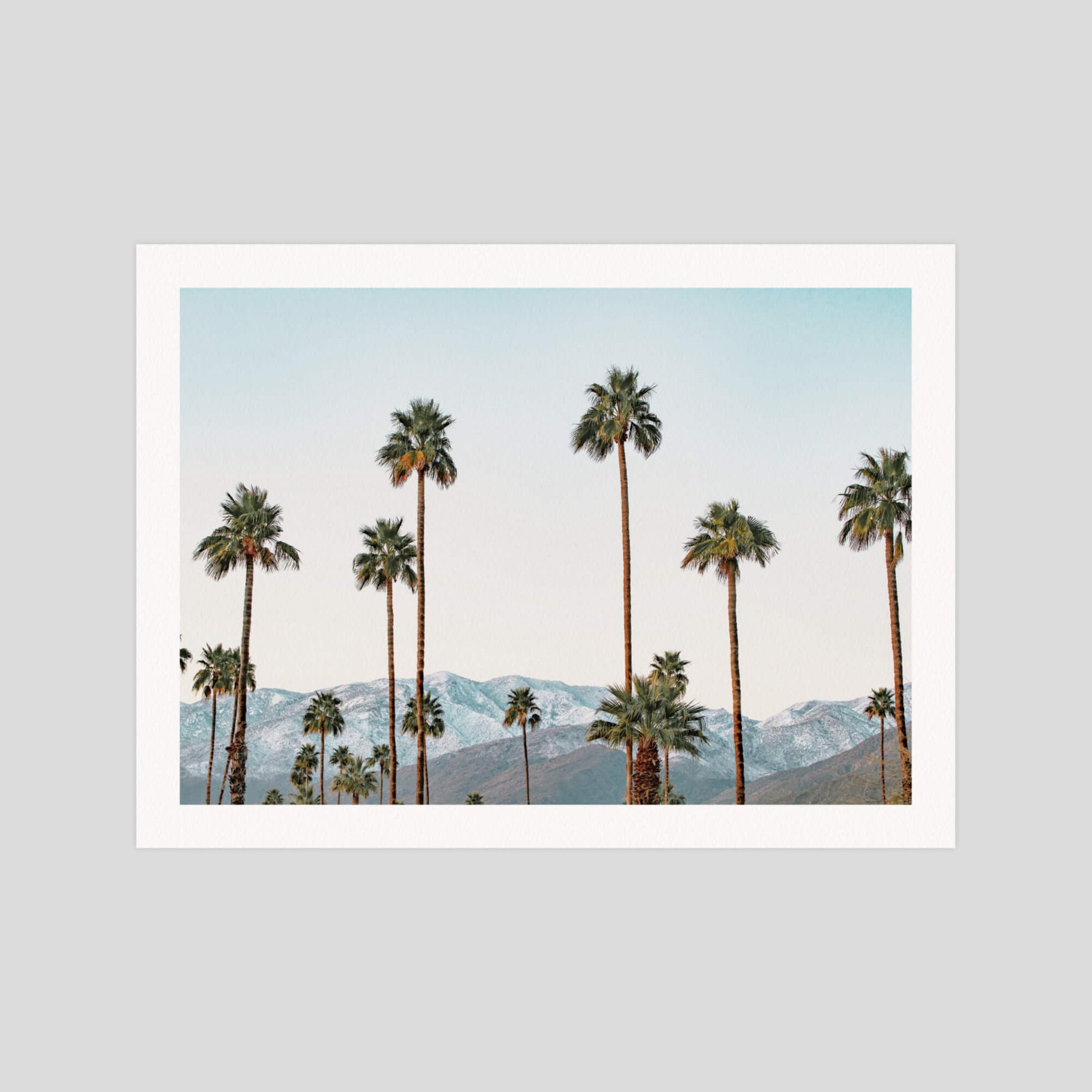 Palm Springs Palms gallery quality art print produced using 100% cotton rag textured art paper and pigment based archival inks in New Zealand.