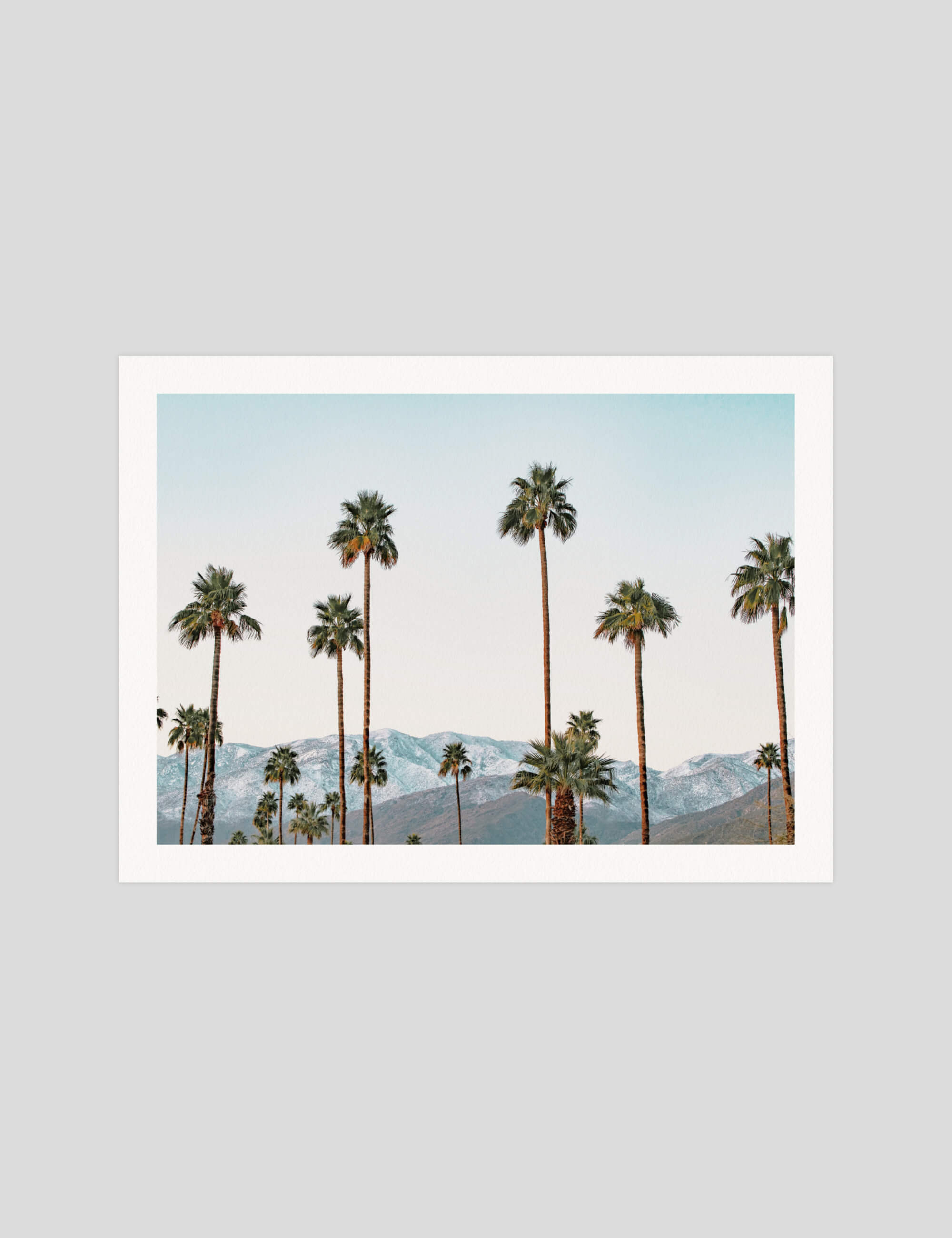 Palm Springs Palms gallery quality art print produced using 100% cotton rag textured art paper and pigment based archival inks in New Zealand.