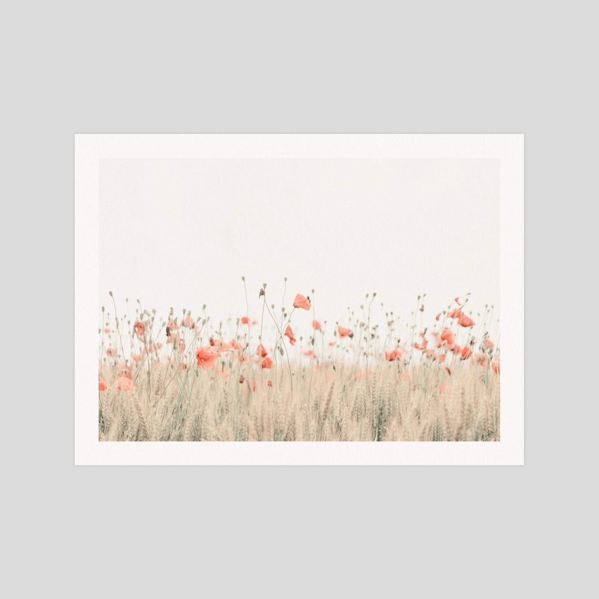 Poppy Field gallery quality art print produced using 100% cotton rag textured art paper and pigment based archival inks in New Zealand.