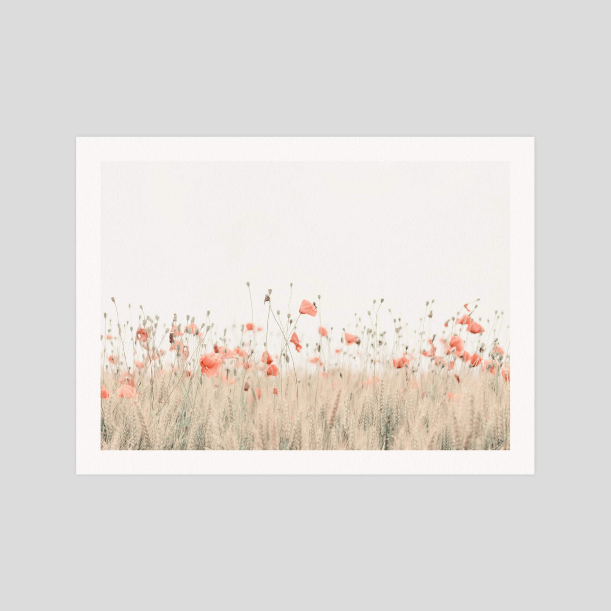 Poppy Field gallery quality art print produced using 100% cotton rag textured art paper and pigment based archival inks in New Zealand.