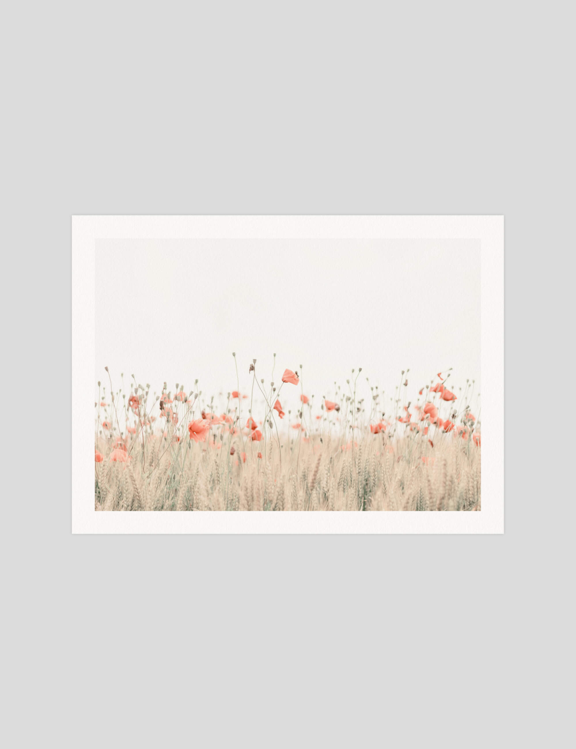 Poppy Field gallery quality art print produced using 100% cotton rag textured art paper and pigment based archival inks in New Zealand.