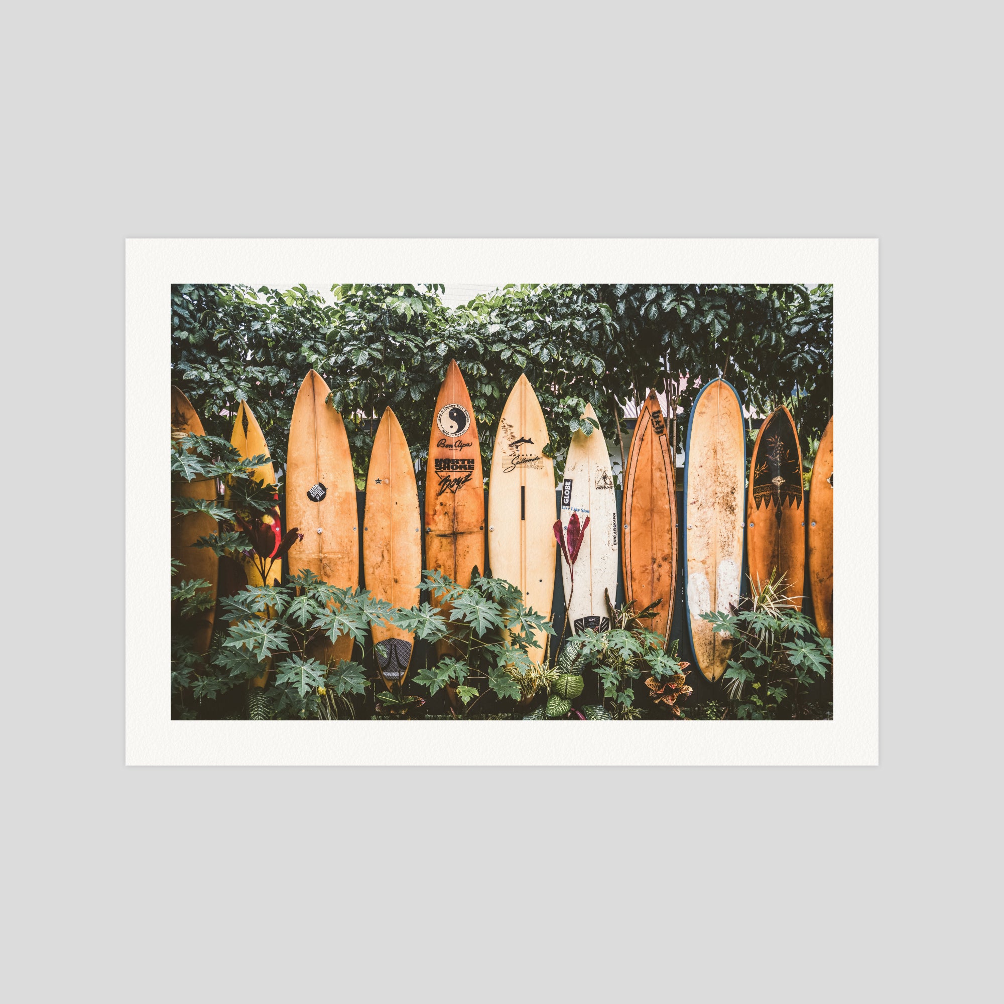 Surfboards in Hawaii gallery quality art print produced using 100% cotton rag textured art paper and pigment based archival inks in New Zealand.