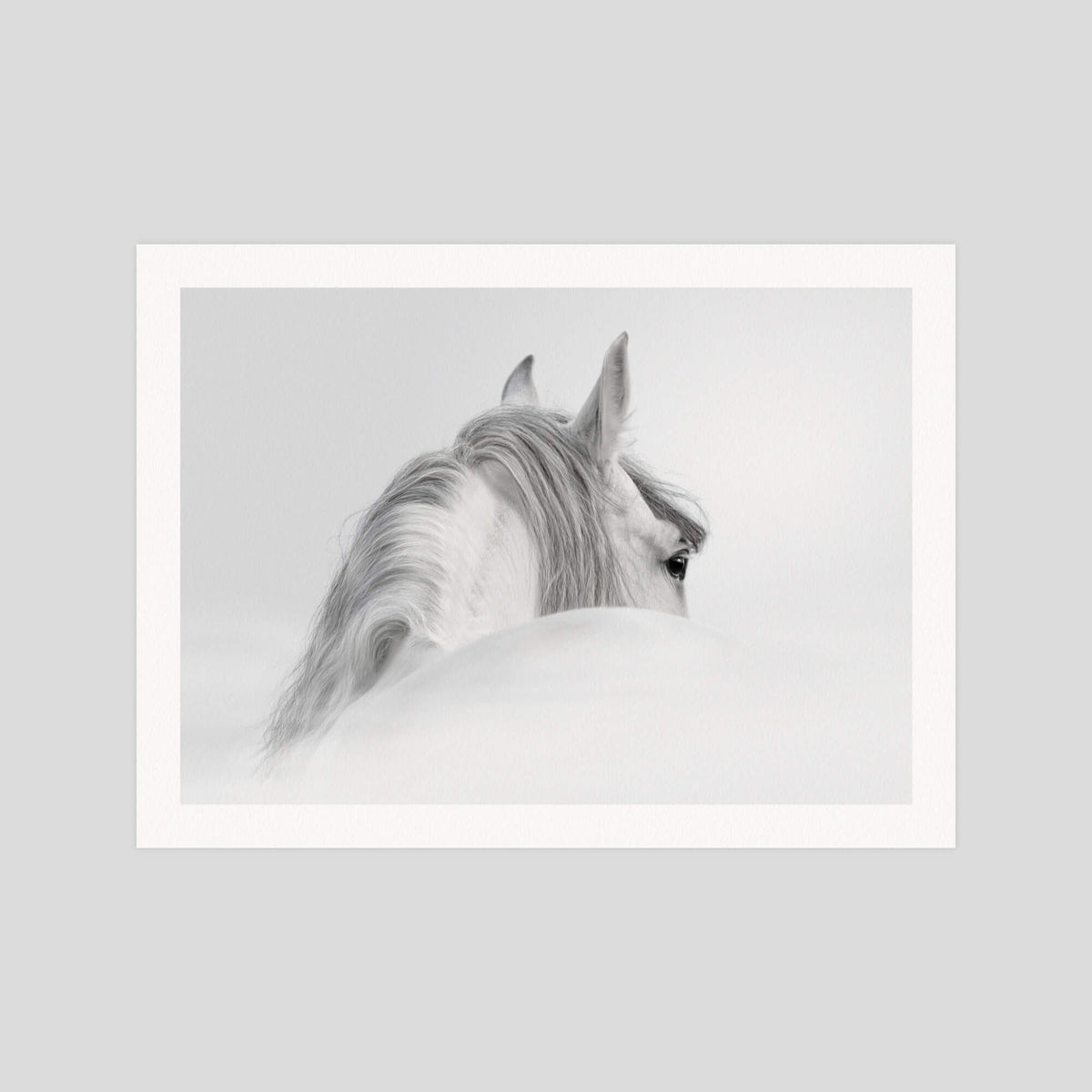 The White Horse gallery quality art print produced using 100% cotton rag textured art paper and pigment based archival inks in New Zealand.