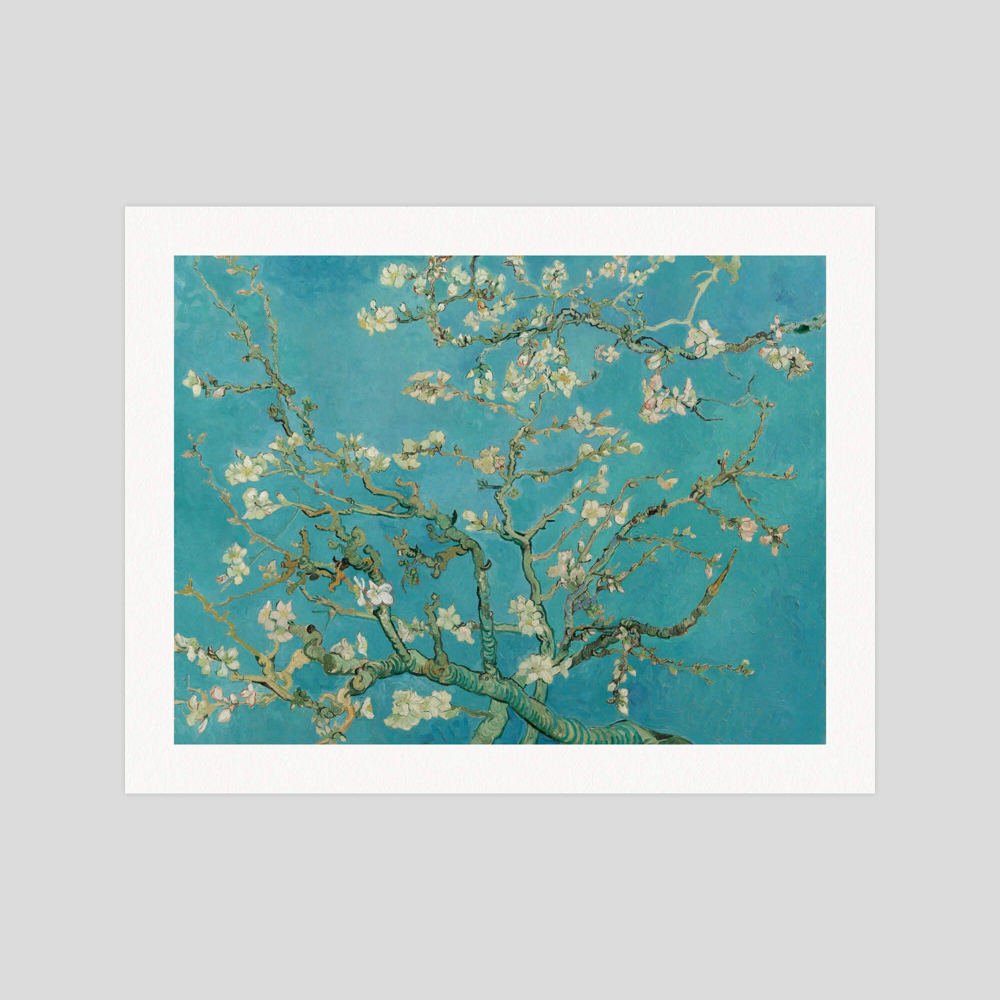 Vincent van Gogh Almond Blossoms gallery quality art print produced using 100% cotton rag textured art paper and pigment based archival inks in New Zealand. 