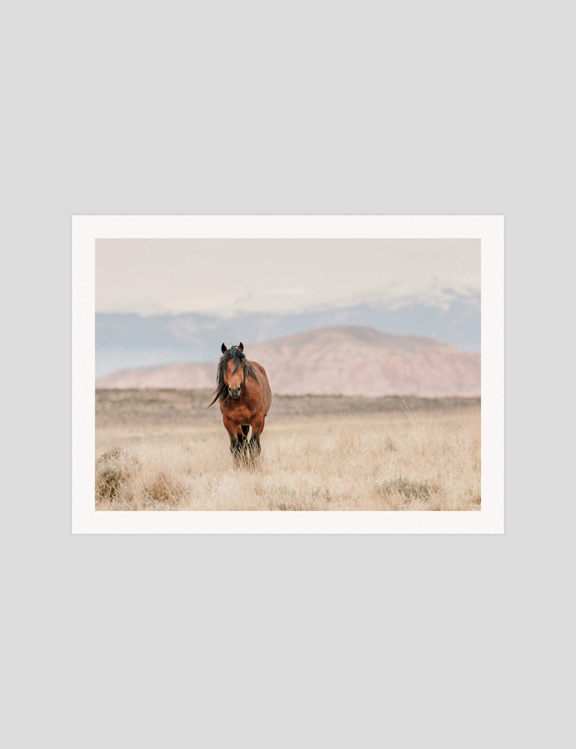 Wild Horse gallery quality art print produced using 100% cotton rag textured art paper and pigment based archival inks in New Zealand.