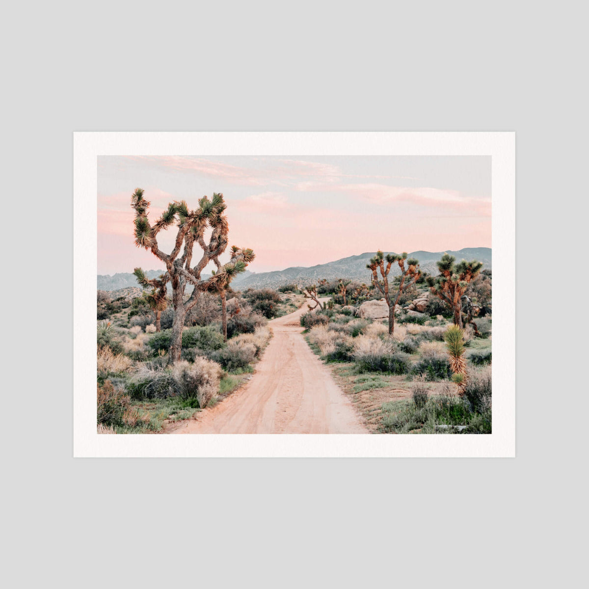 Yucca Valley gallery quality art print produced using 100% cotton rag textured art paper and pigment based archival inks in New Zealand.