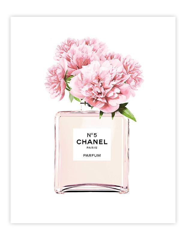 Chanel no 5 perfume pink roses  Flower shop decor Chanel flower Luxury  flowers
