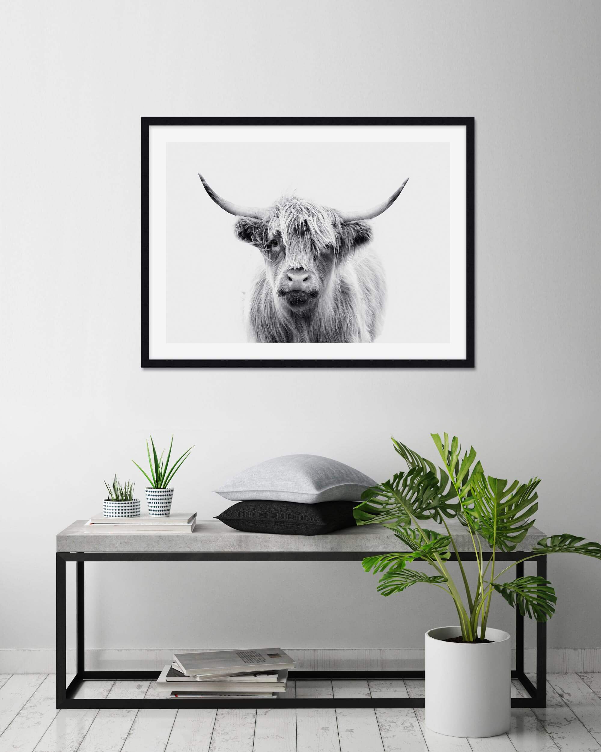 Highland Cow Wall Art for Bedroom