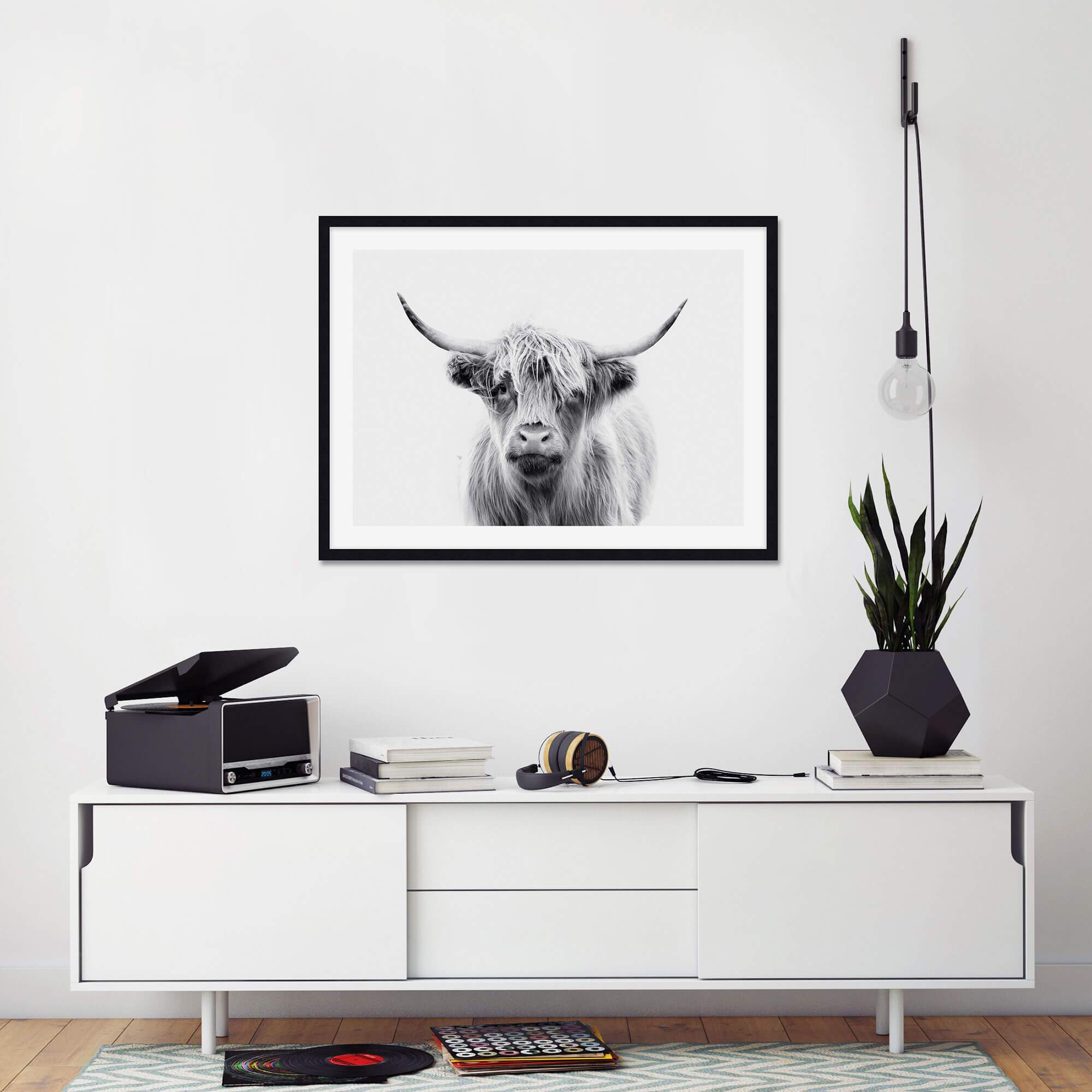 Highland Cow Wall Art