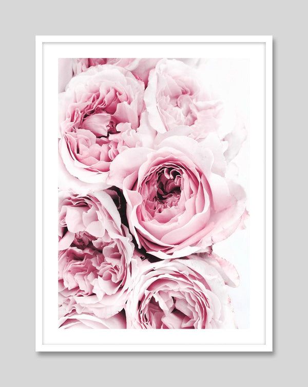 Peony Flower Photography Art Print | Pop Motif