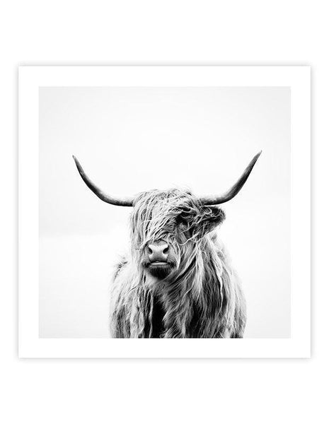 Portrait of a Highland Cow by Dorit Fuhg Art Print | Pop Motif