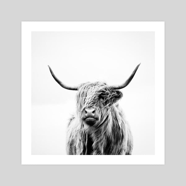 Portrait of a Highland Cow by Dorit Fuhg Art Print | Pop Motif