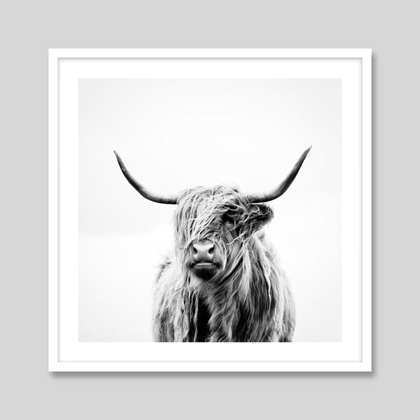 Portrait of a Highland Cow by Dorit Fuhg Art Print | Pop Motif