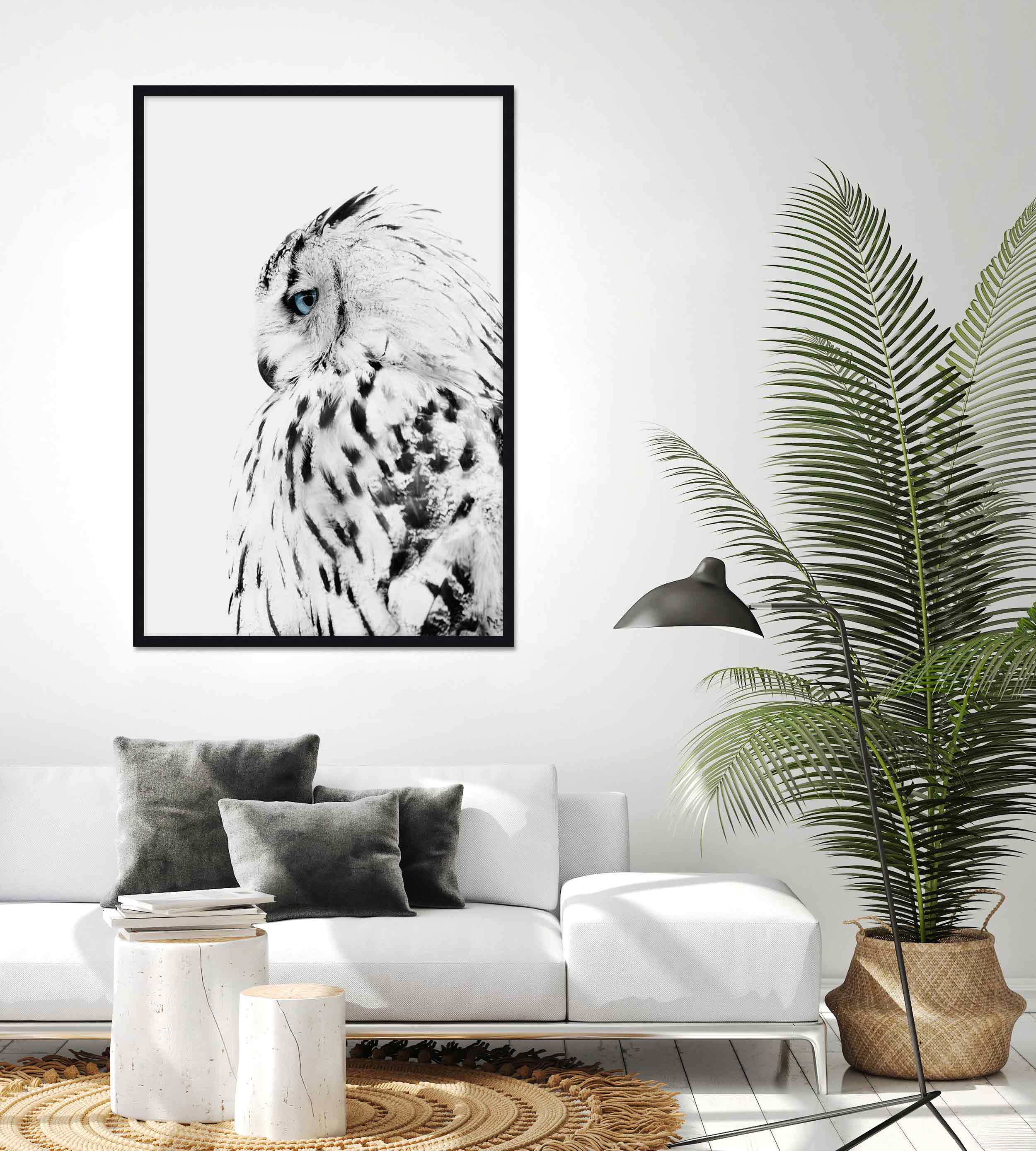 Winter Owl Wall Art for Living Room