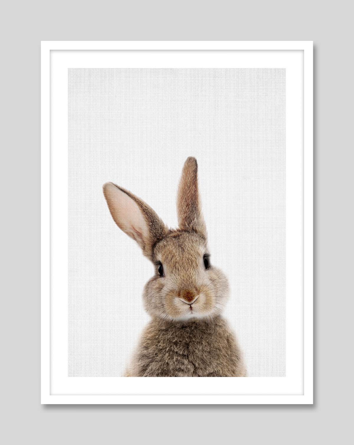 Rabbit nursery sale prints