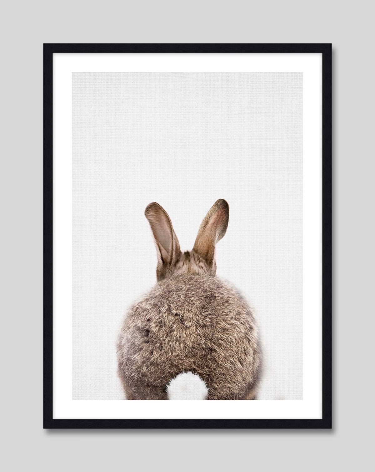 Woodland Bunny Rabbit Tail by Lila & Lola Art Print | Pop Motif